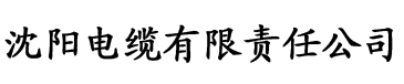 樱桃污污污ApP电缆厂logo